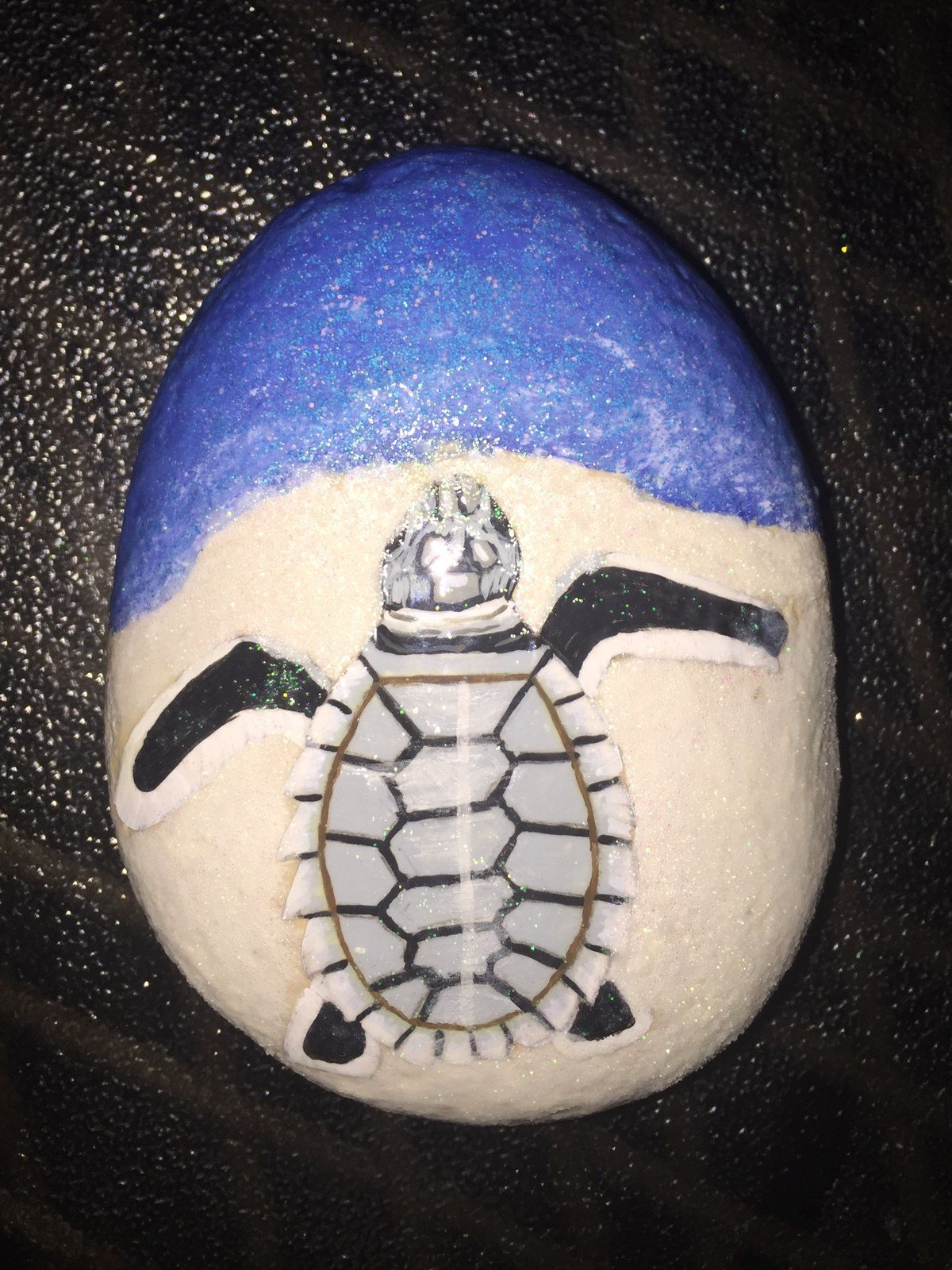 Baby Sea Turtle