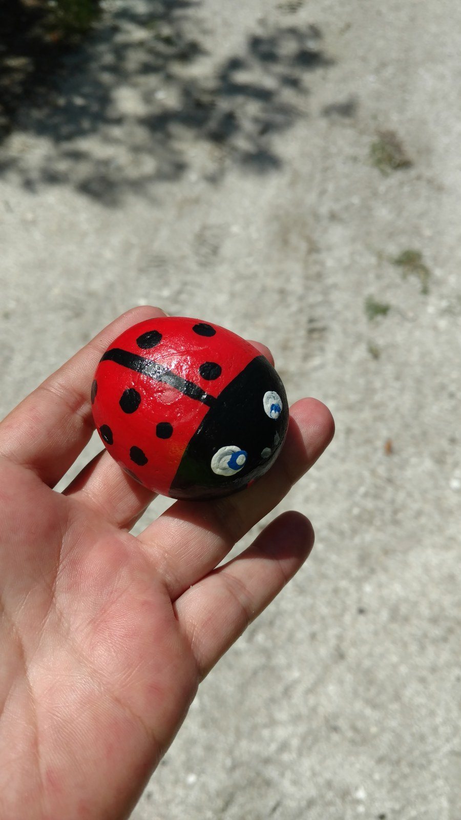Found Ladybug