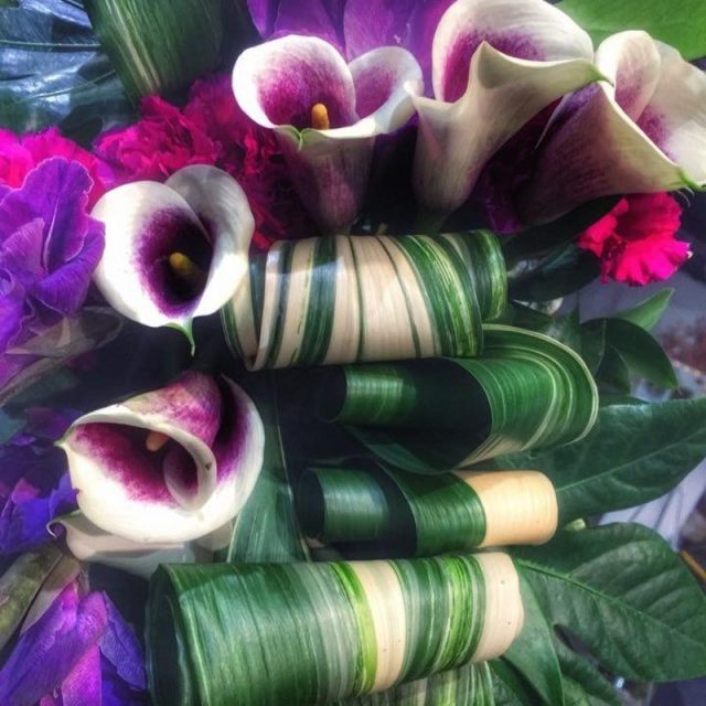 Calla Lilly Elegance