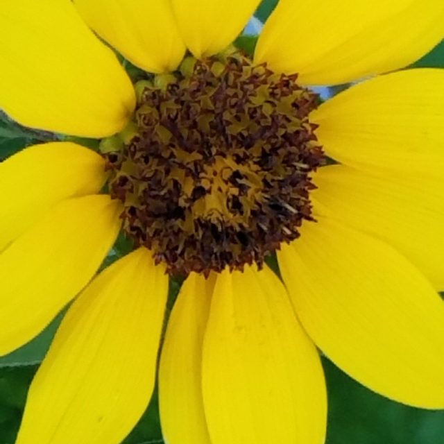 Tricia's photo