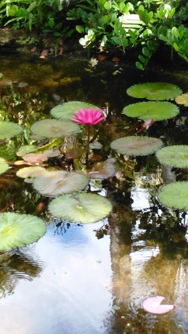 Tranquility