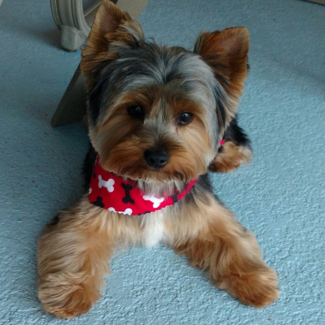 Looking Handsome After Haircut