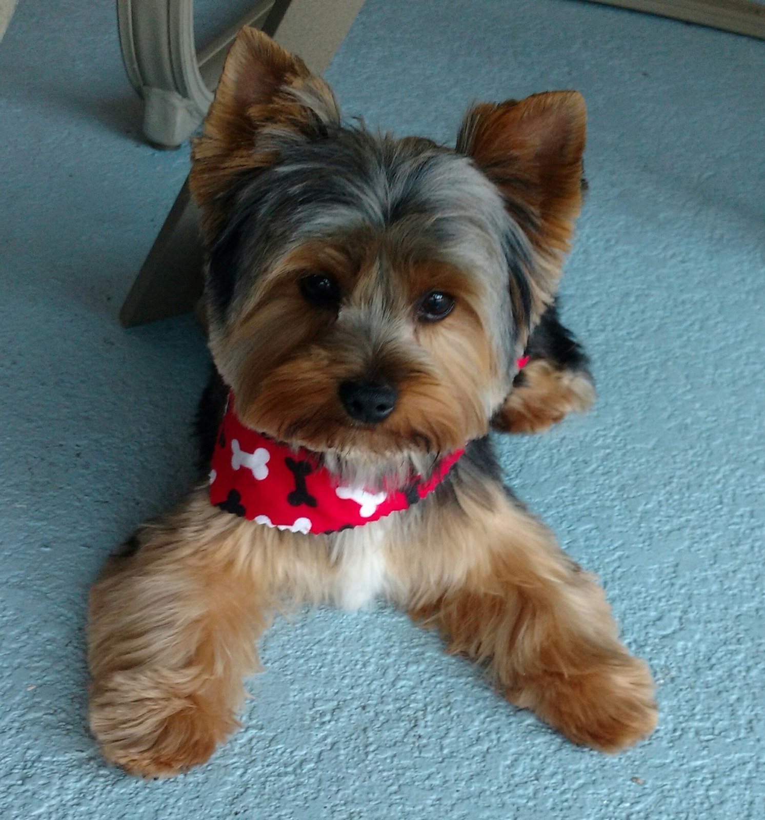 Looking Handsome After Haircut