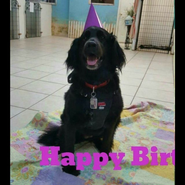 Birthday Baby