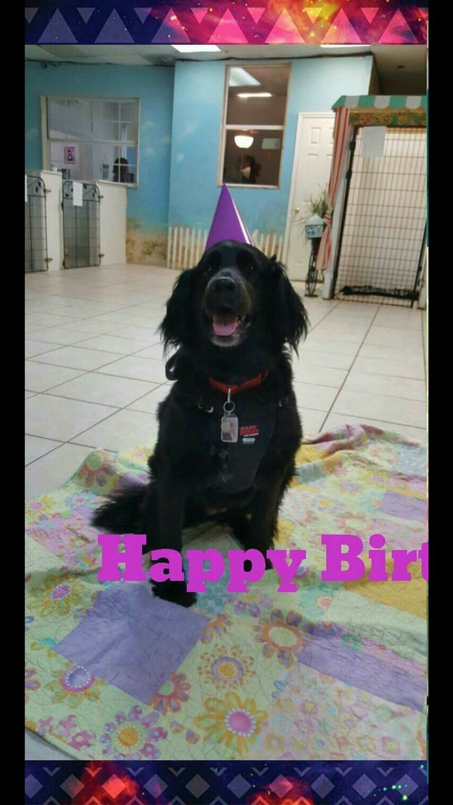 Birthday Baby