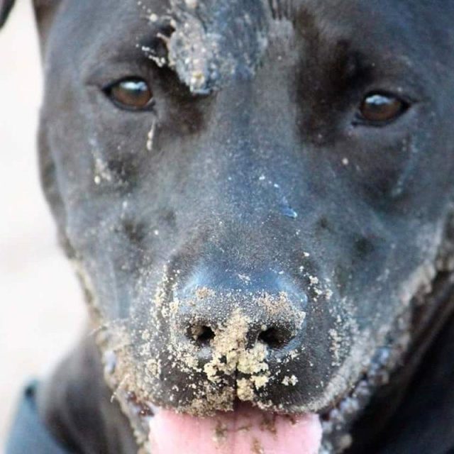 Dirty Girl