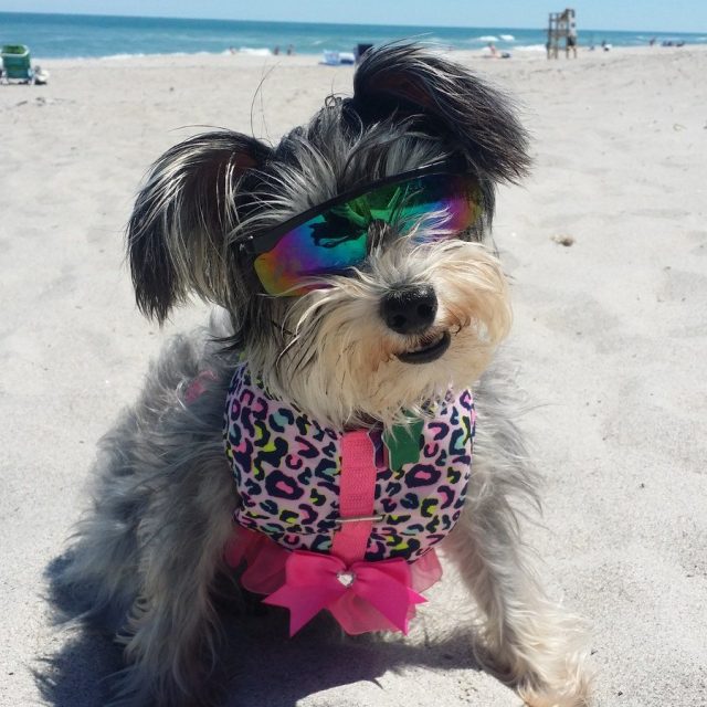 Who Wants To Go To The Beach