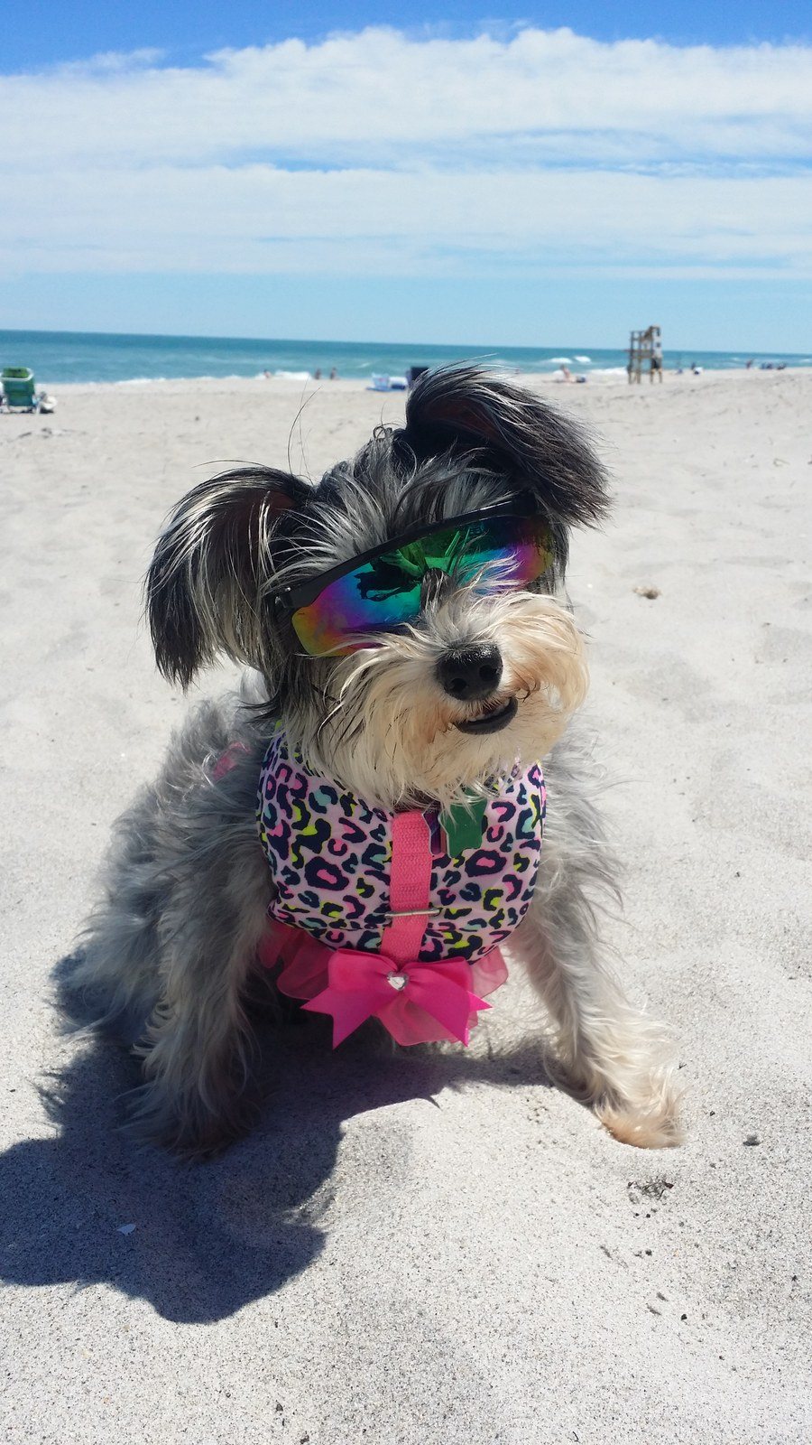 Who Wants To Go To The Beach