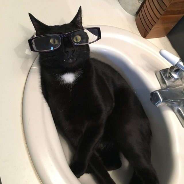 Kylo