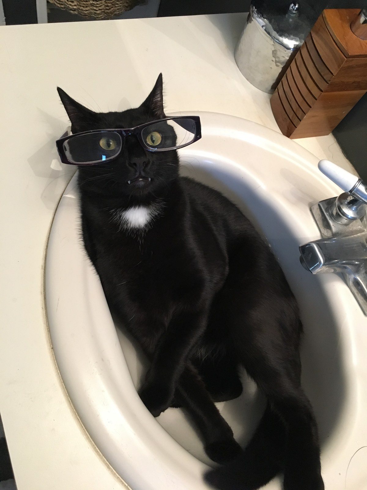 Kylo