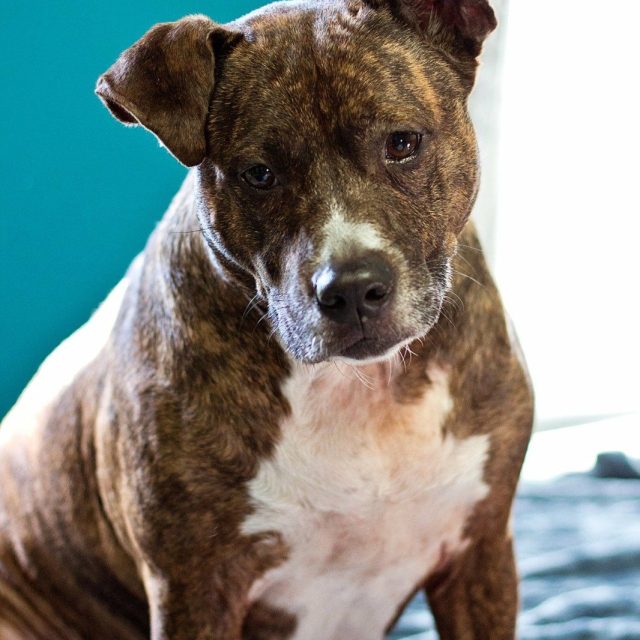 Princess Sasha