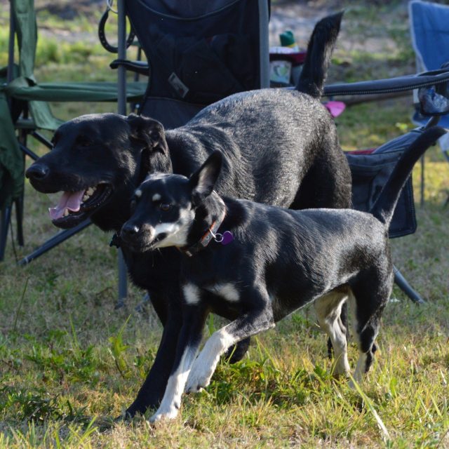 Runnin' Together
