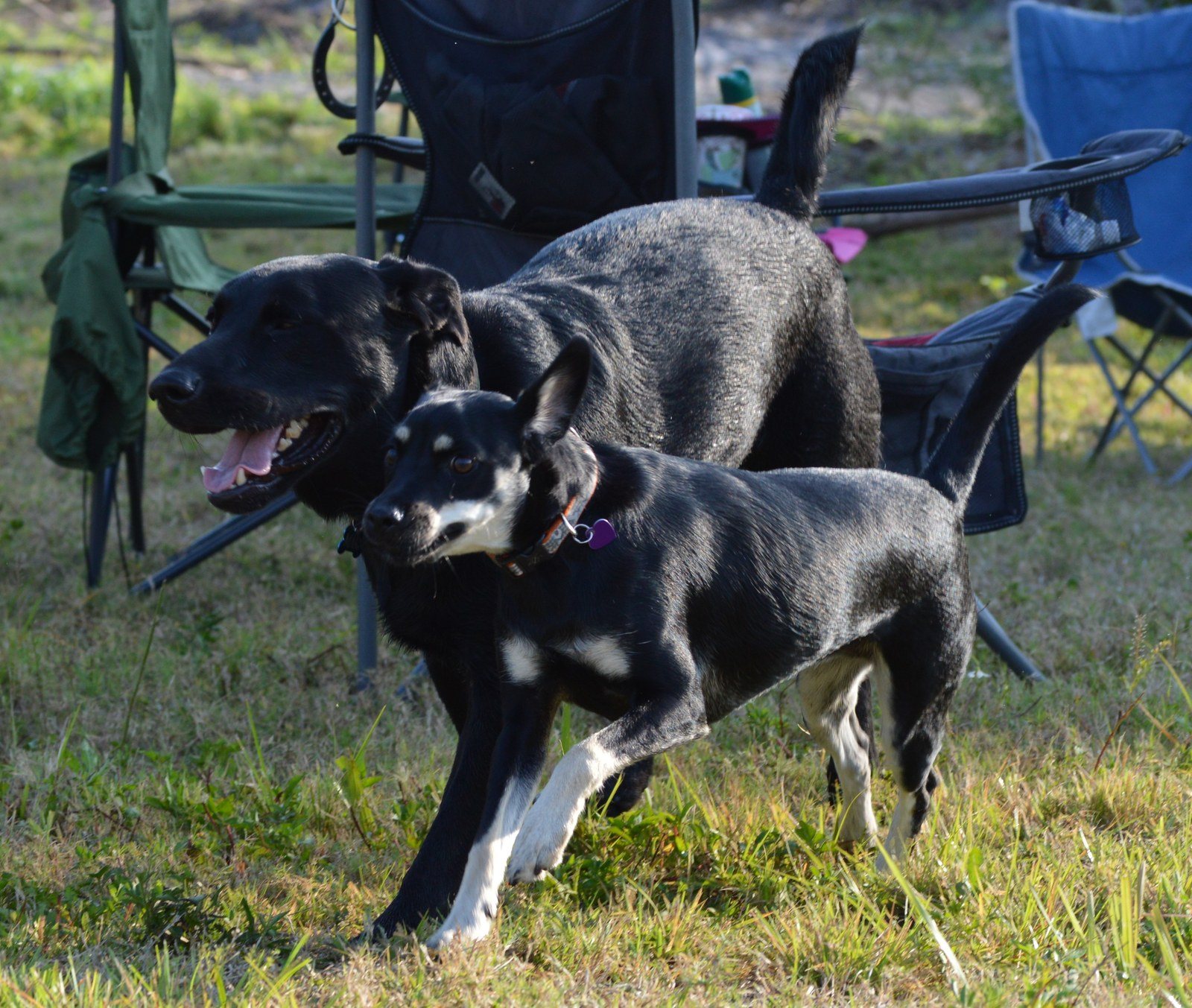 Runnin' Together