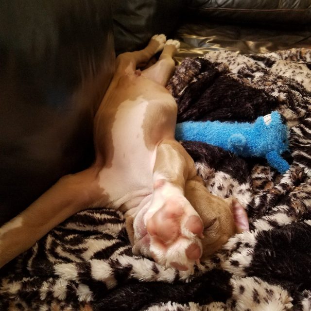 Lazy Days