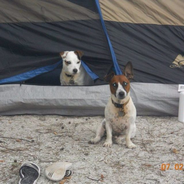 We're Are You Sleeping Mom??