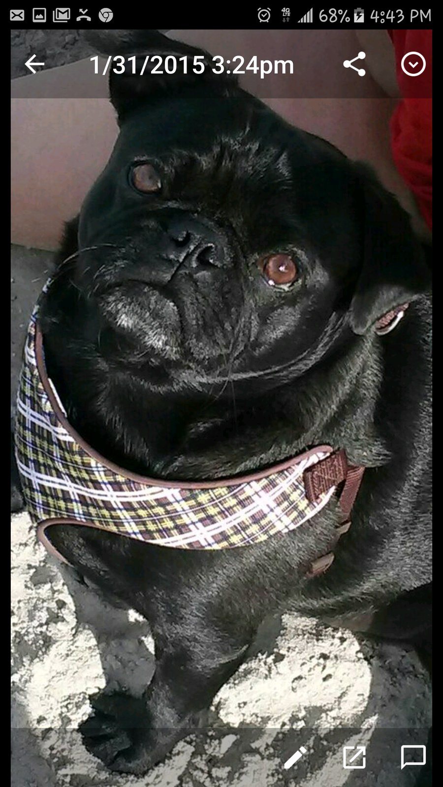 Did U Say Treat?
