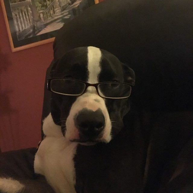 Professor Oscar