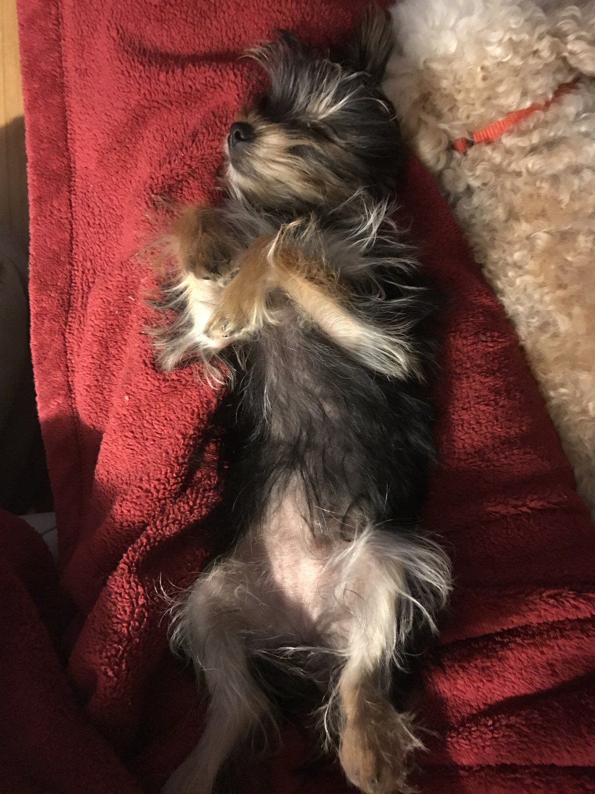 Now I Lay Me Down To Sleep