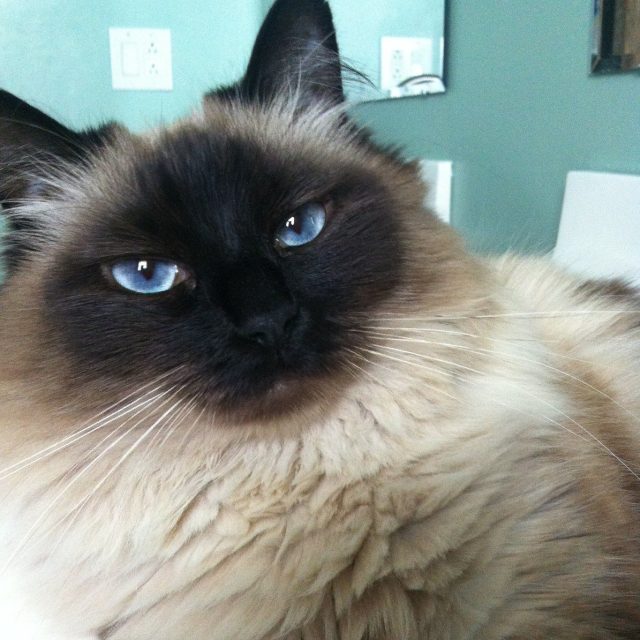 Never A Moment Alone, Umi Is Always At My Side.