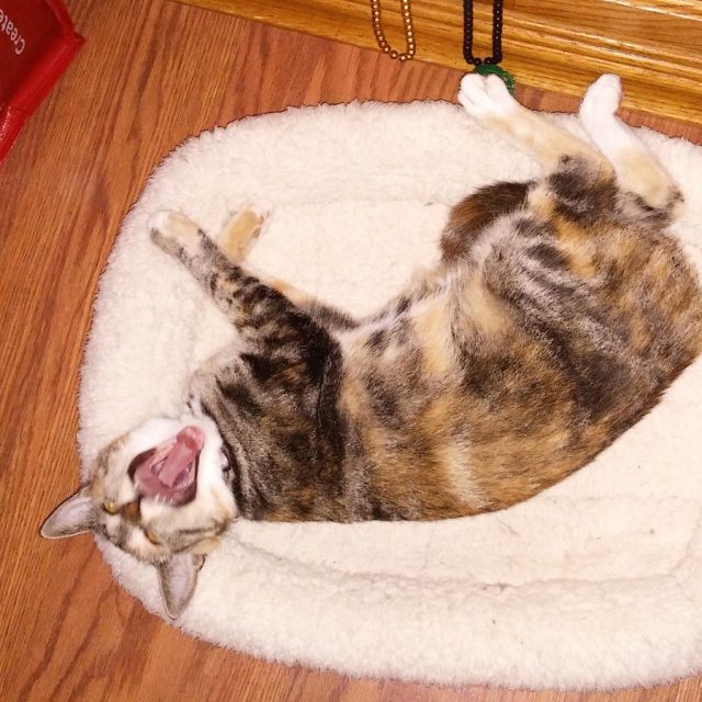 Clementine Tired