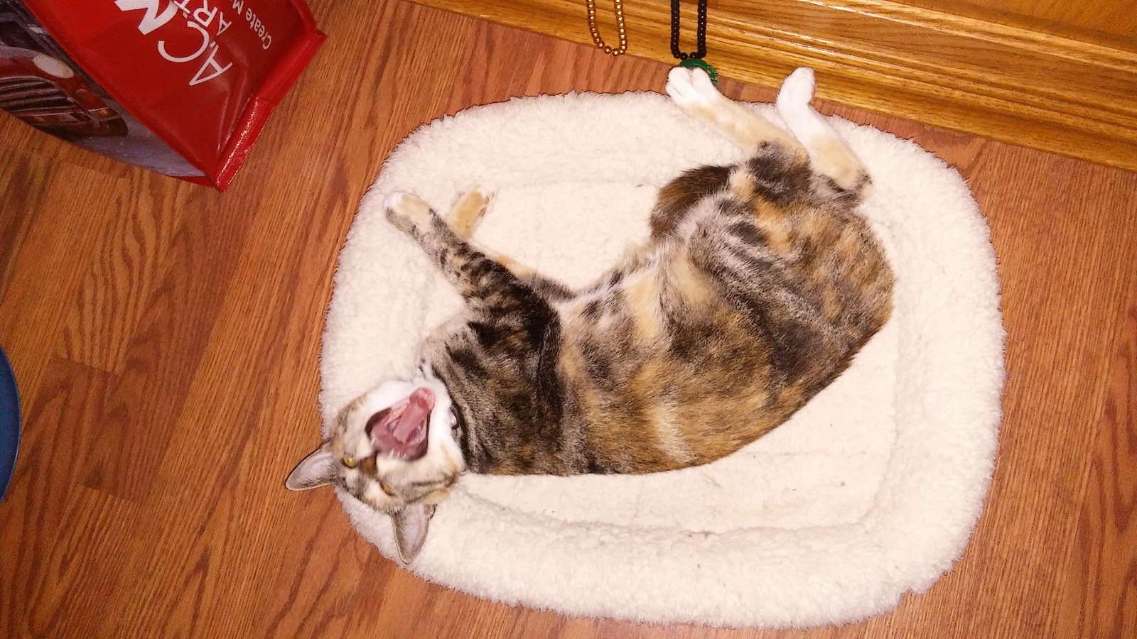Clementine Tired
