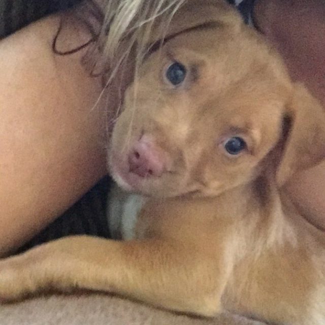Murphy