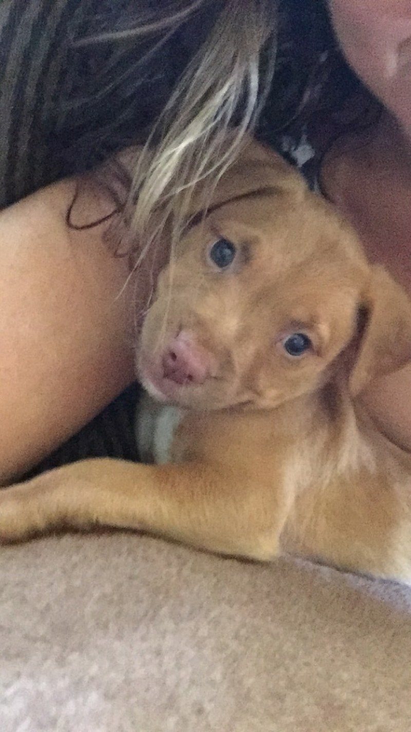 Murphy