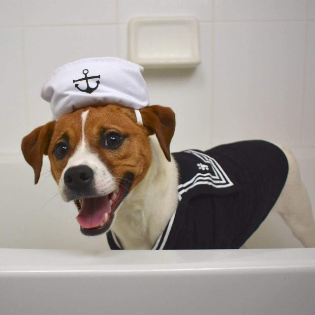 Captain Jack