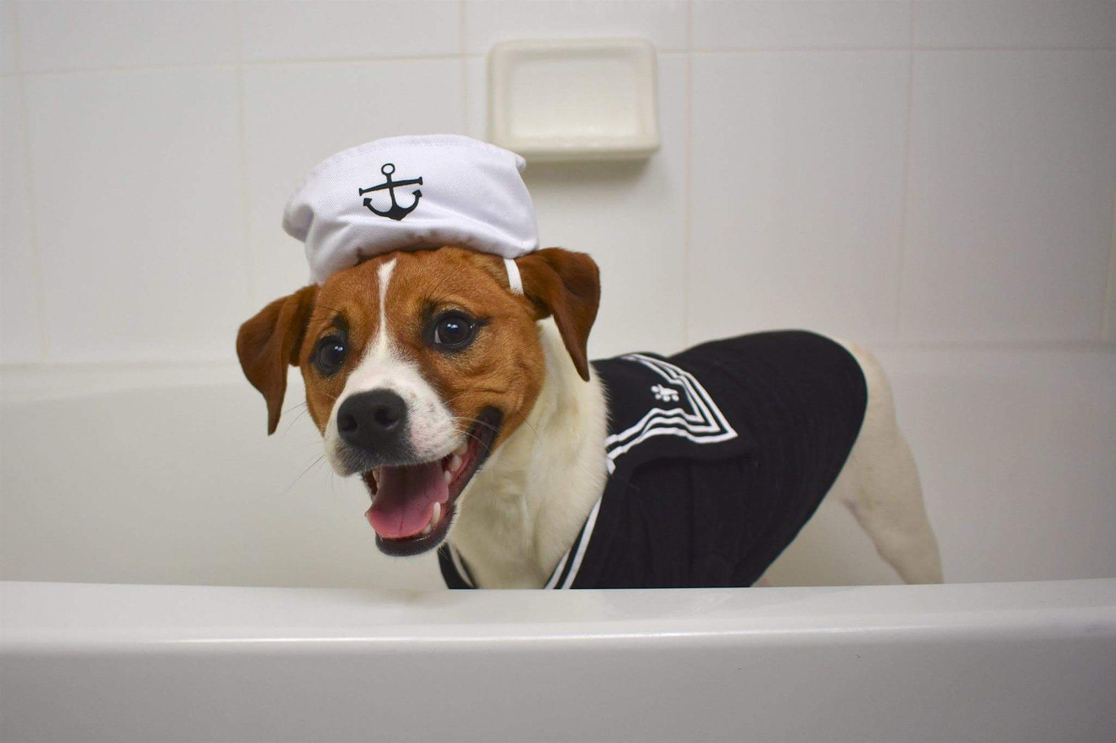 Captain Jack