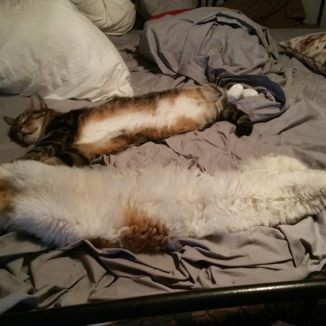 Loonnng Hard Day...