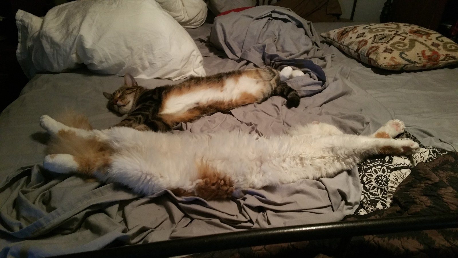 Loonnng Hard Day...