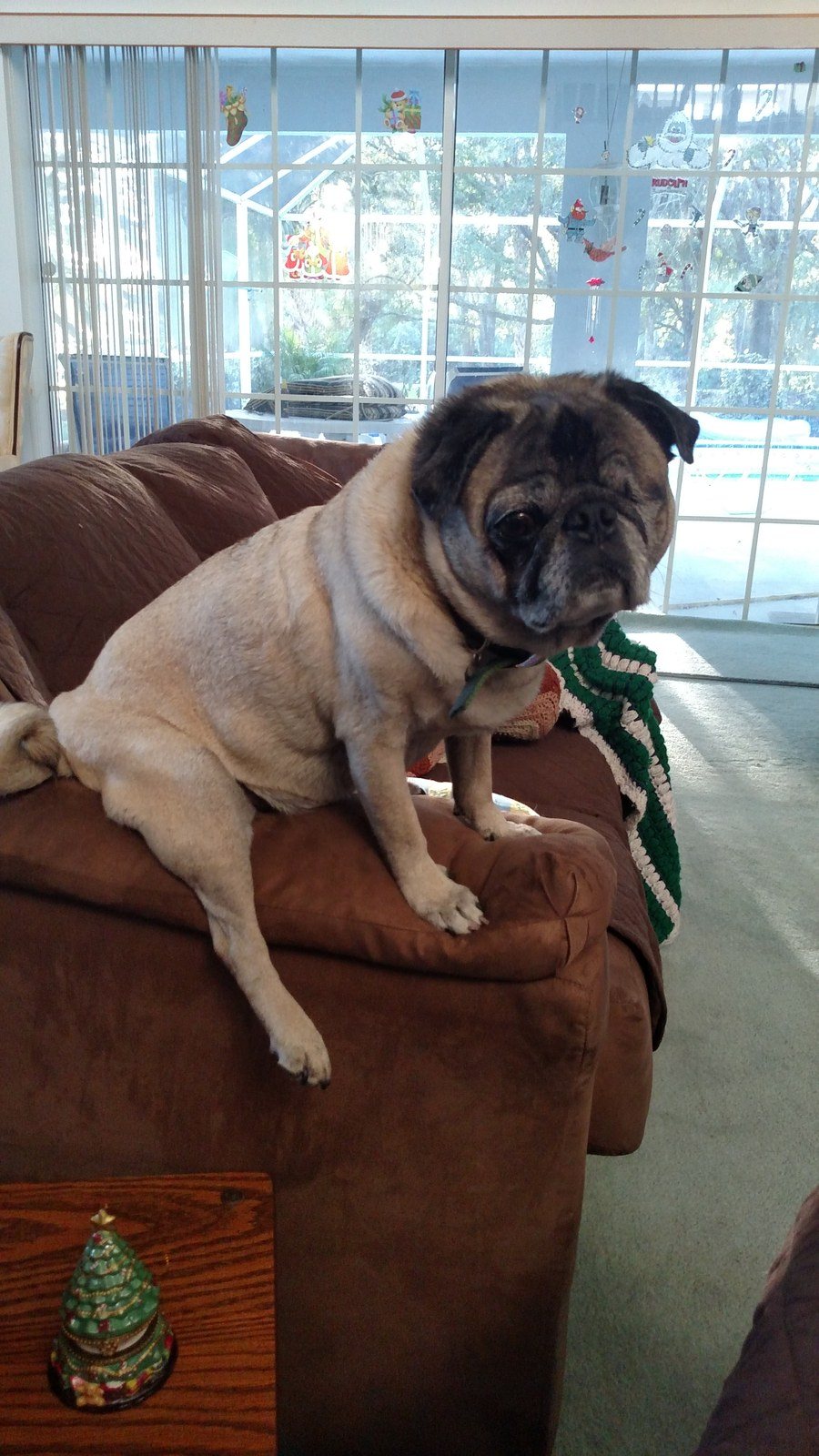 My Comfy Position On The Couch