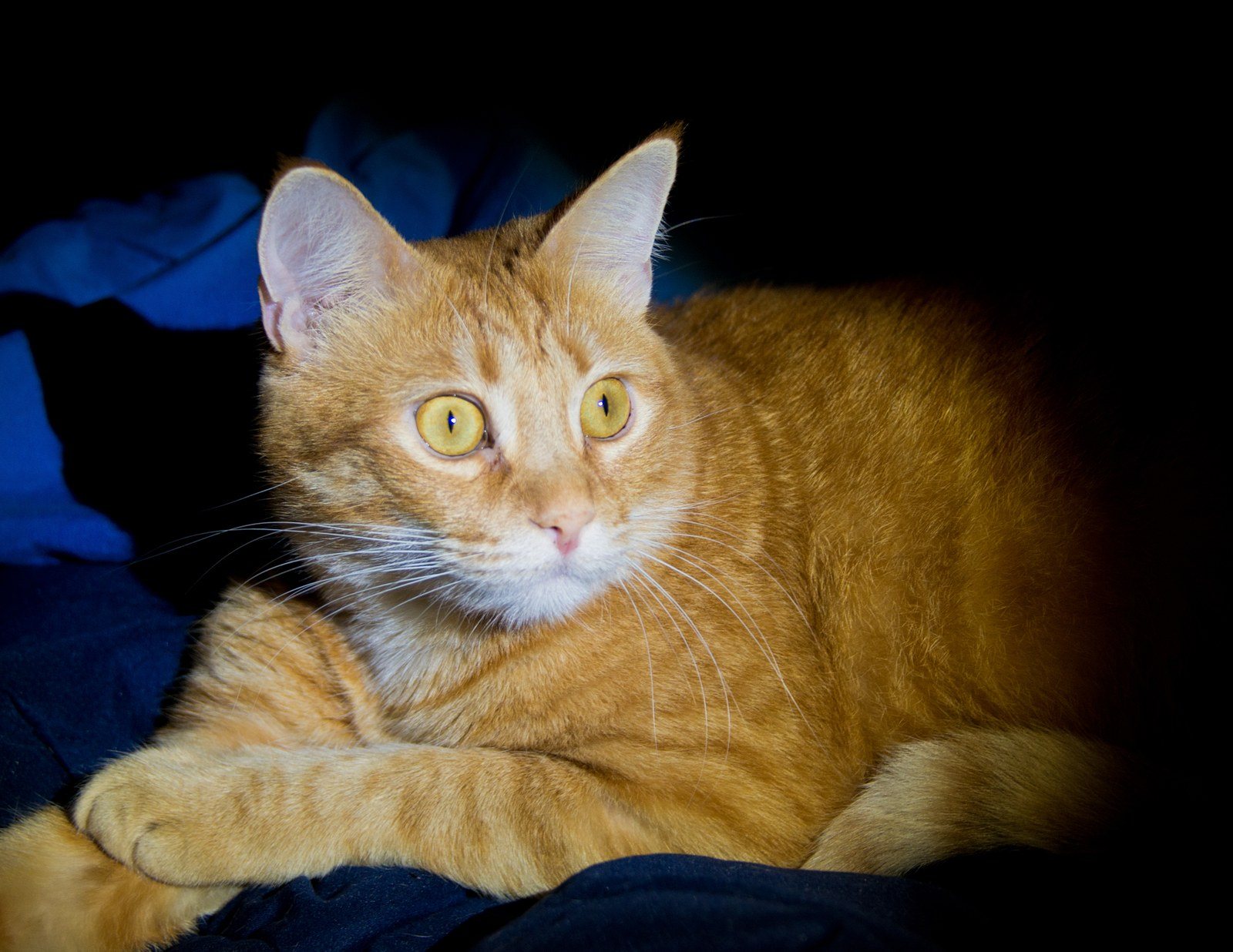 Thomas