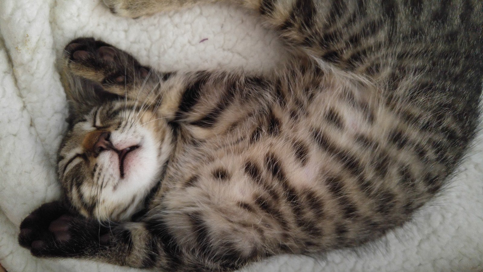 Sleepin'