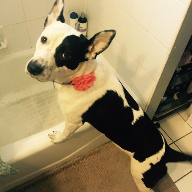 Bath Time