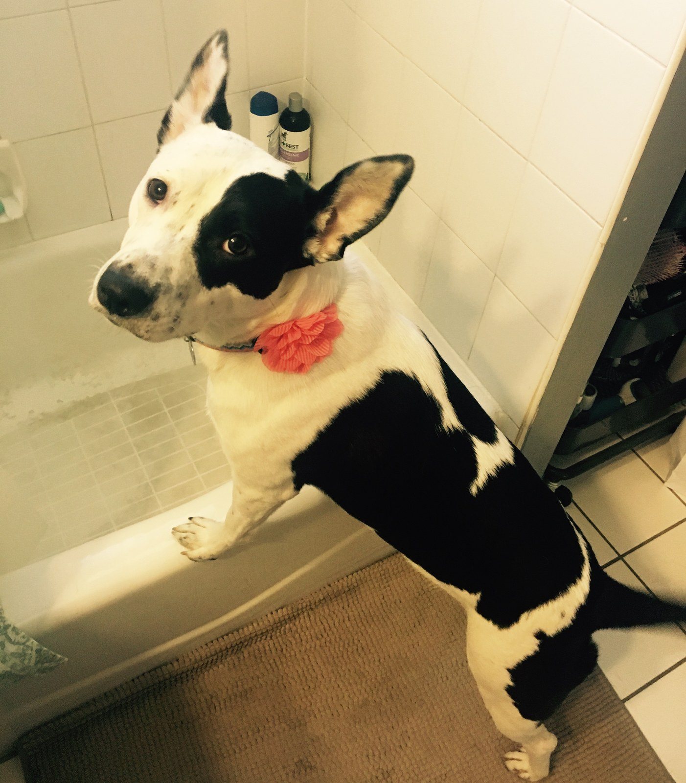 Bath Time