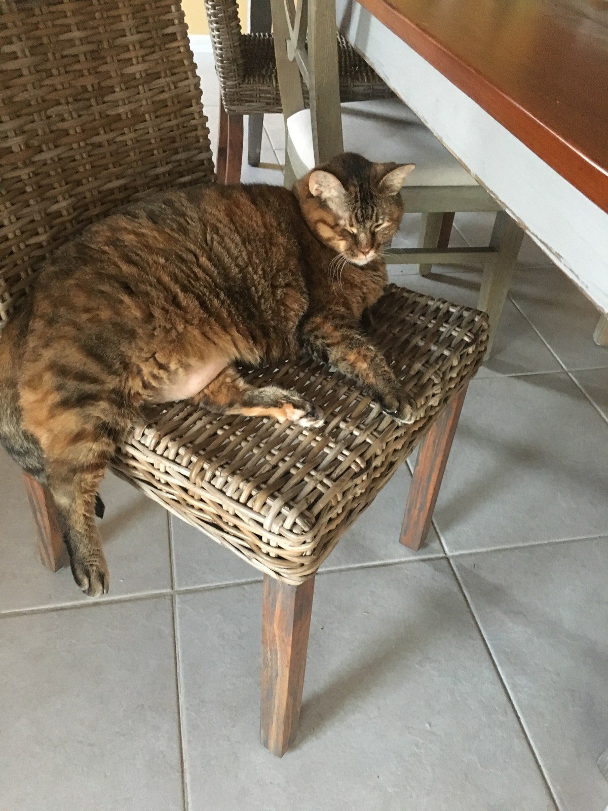 Did Somebody Say 'steak'?