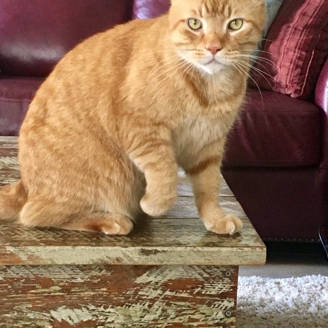 Rusty