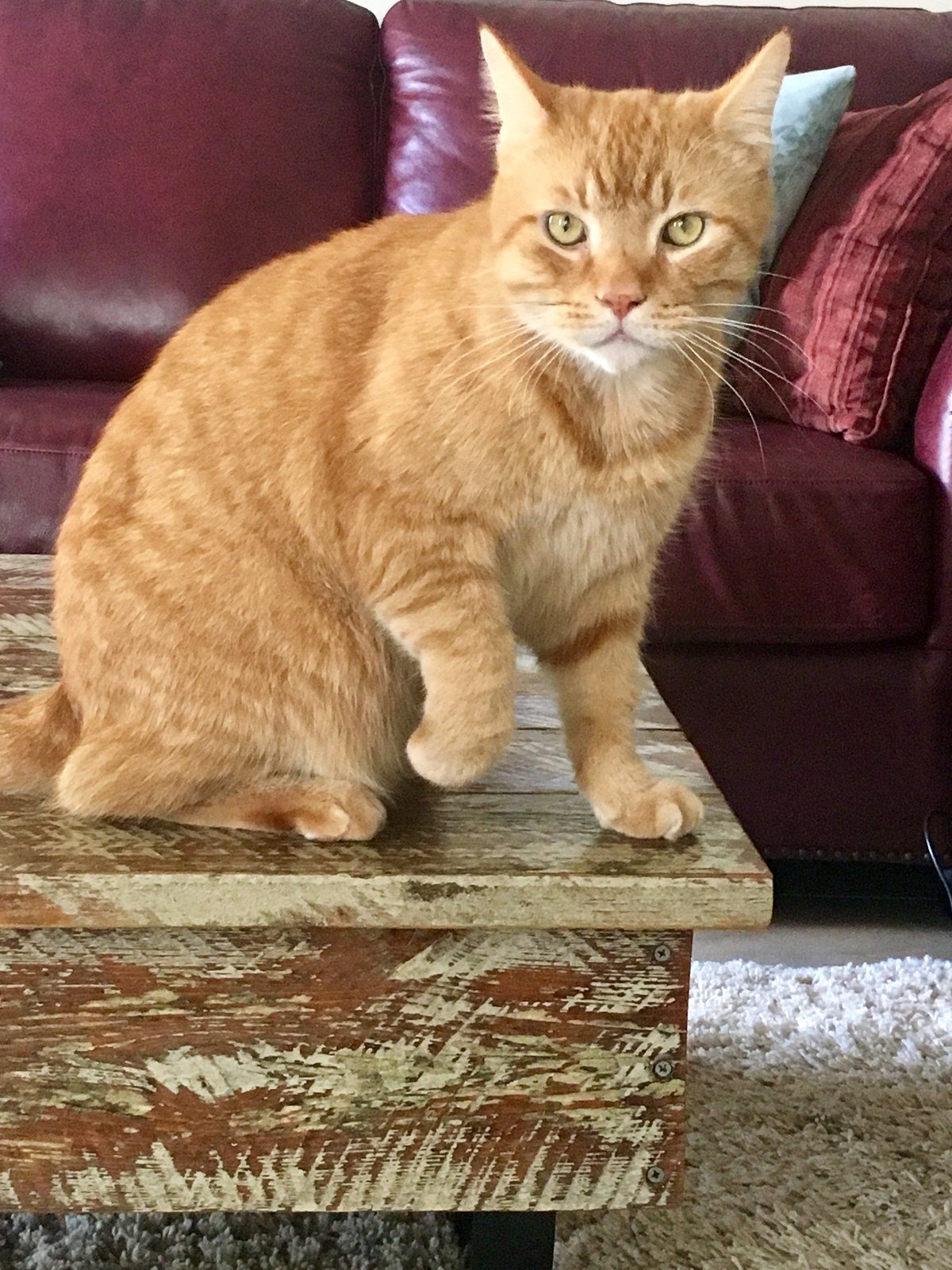 Rusty