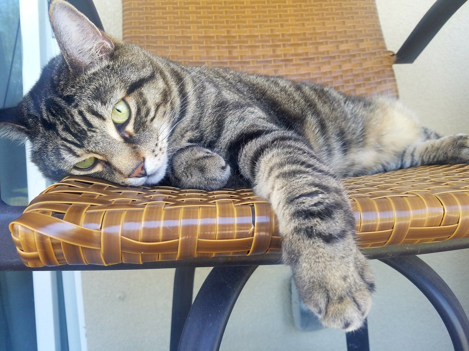 Lazy Sunday