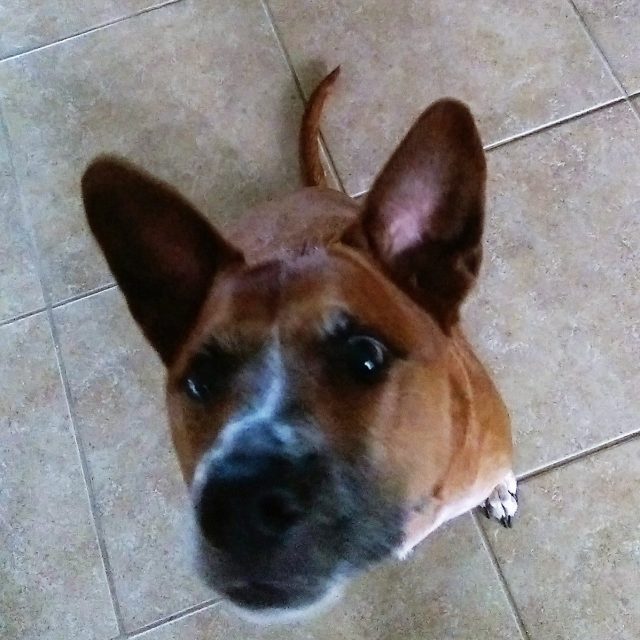 Cheese!!