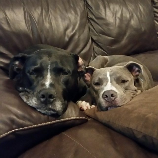 This Is Love