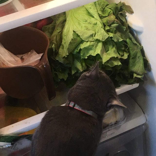 This Is For Me, Right?