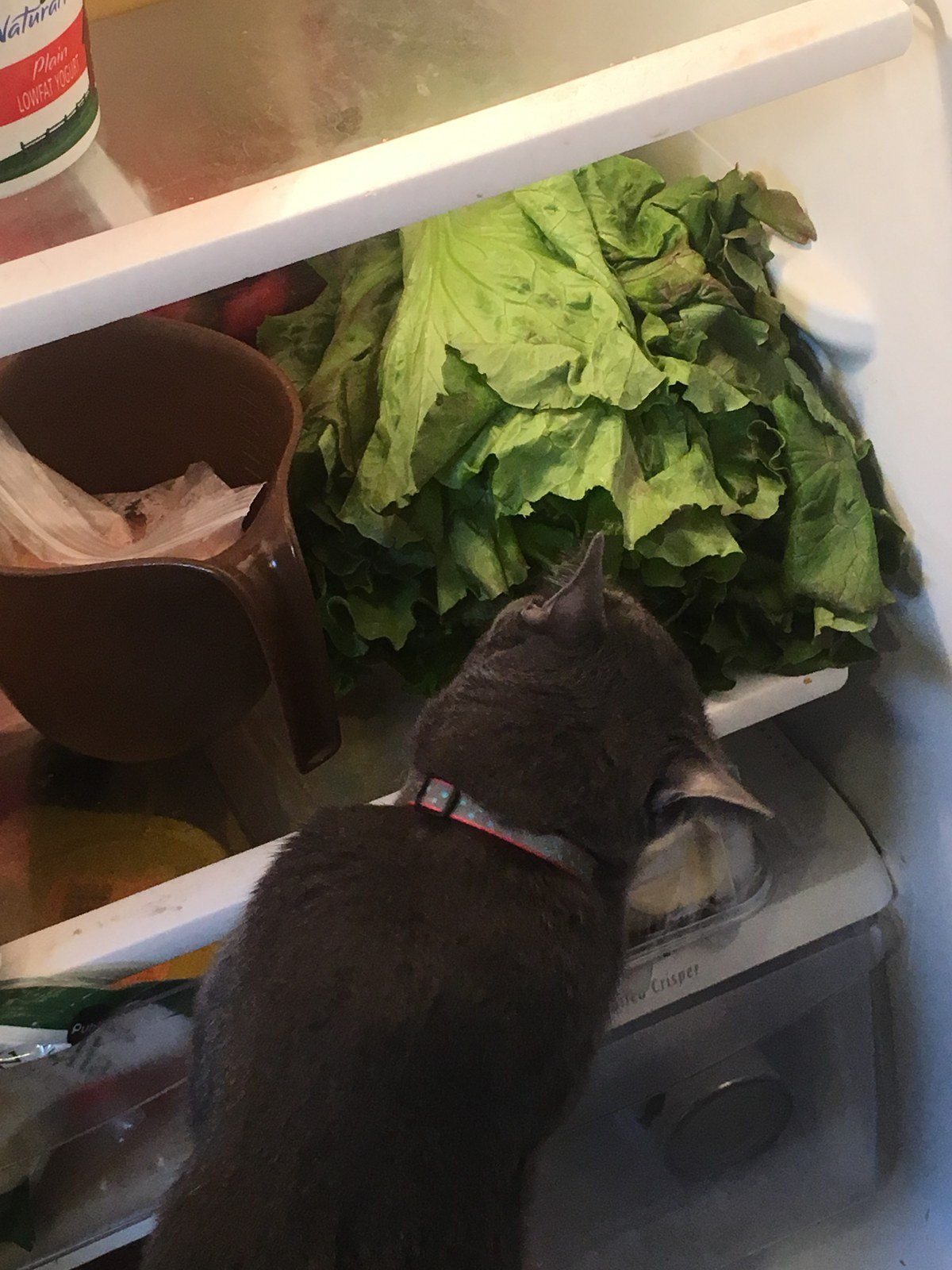 This Is For Me, Right?