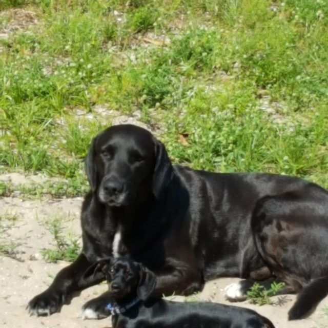Best Friends!