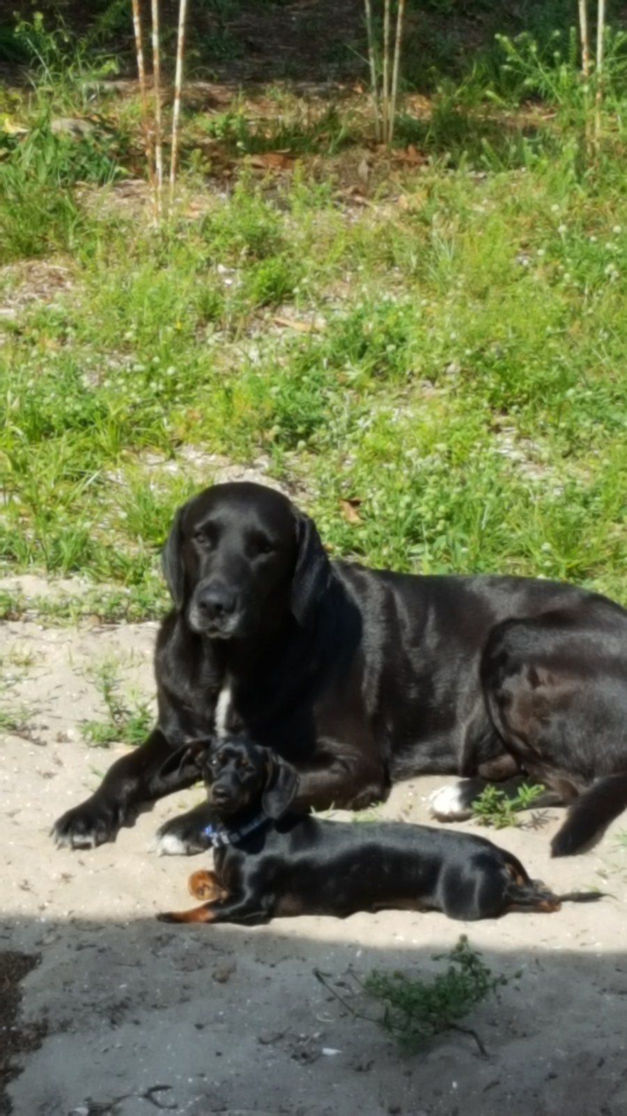 Best Friends!