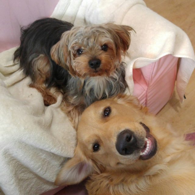 Hi Mom, We're Being Good