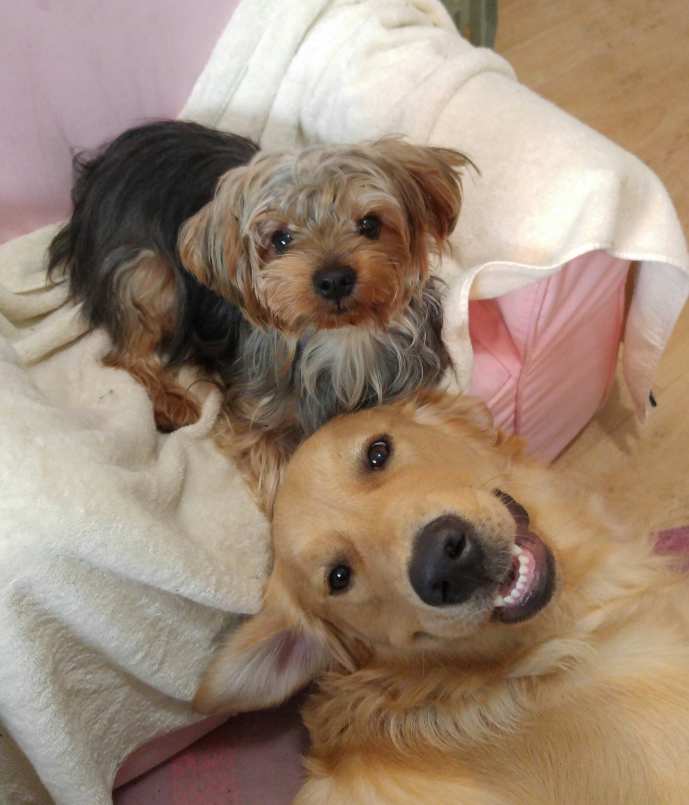 Hi Mom, We're Being Good