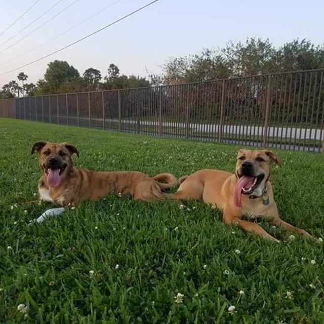 Brothers