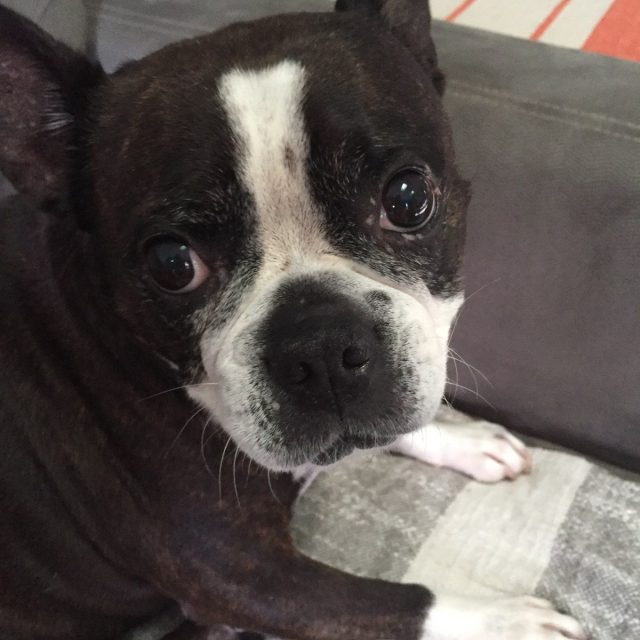 Lucy Aka Lucifer